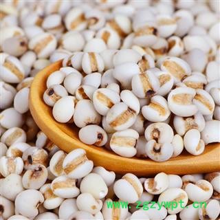 薏米 国产薏苡仁98米 产地 贵州省安顺市图3