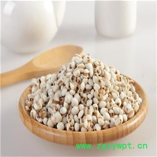 薏米 国产薏苡仁98米 产地 贵州省安顺市图4