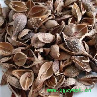 青翘 统货各种规格 产地 江西省抚州市图2