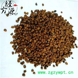 牵牛子白丑T 正品 颗粒饱满 统货图3