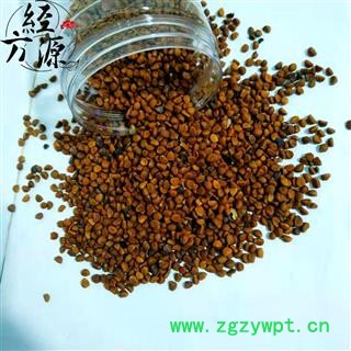 牵牛子白丑T 正品 颗粒饱满 统货图2