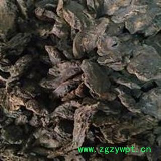 制大黄 制马蹄大黄 酒炙大黄 统 产地 甘肃省图2