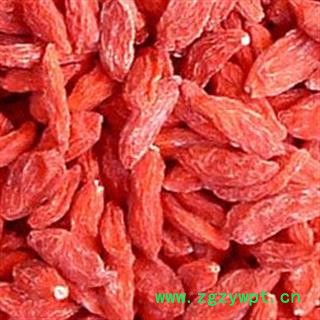 京辉药业 枸杞 枸杞子 新货 大粒 优质 促销图2