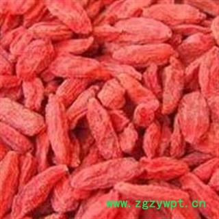 京辉药业 枸杞 枸杞子 新货 大粒 优质 促销图3