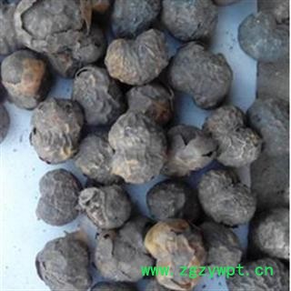 京辉药业 庵闾子 鸭脚艾 秦州庵 俺桐子 优质正品图2