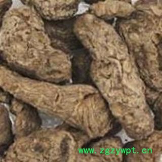 生地 生地黄个 产地直销   统 产地 河南省图2