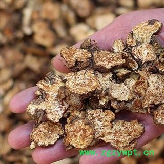 南苍术苍术 秦岭茅苍术 黑苍术手工切片 日晒干净 药味浓郁500g另有炒苍术片图2