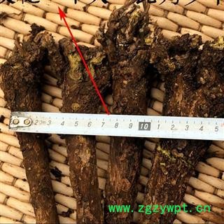 黄芩 秦岭优质黄芩 黄芩片 枯芩 手工铡片 过筛分拣 日晒无硫1000g【打折已结束】图2