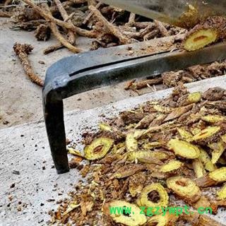 黄芩 秦岭优质黄芩 黄芩片 枯芩 手工铡片 过筛分拣 日晒无硫1000g【打折已结束】图4