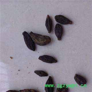 灵吉药业 西青果 藏青果  产地直销 批发各类中药材 矿石 花茶 冷背野生药材图3