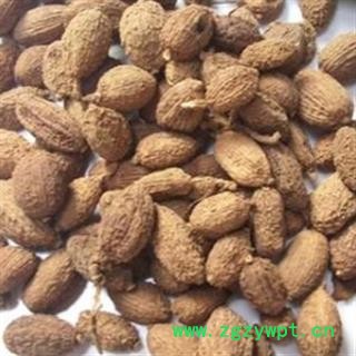 灵吉药业 砂仁 壳沙  道地药材 货真价实 批发各类规格中药材 花茶 矿石图2