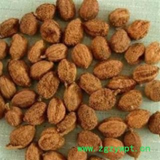 灵吉药业 砂仁 壳沙  道地药材 货真价实 批发各类规格中药材 花茶 矿石图3