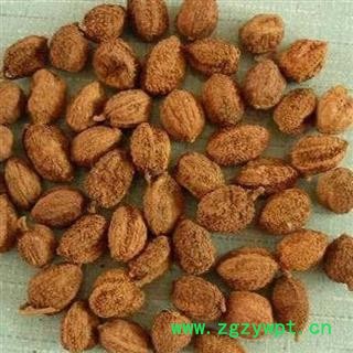 进口砂仁 进口壳砂仁统货图2