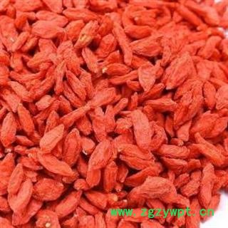 枸杞子  统货  产地 青海省图2