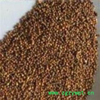 菟丝子 菟丝子水洗选货 产地 内蒙古自治区图2