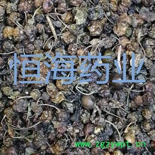 恒海药业龙葵果 干龙葵子 龙葵籽 天茄子 苦葵籽图3