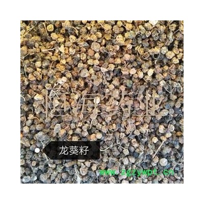 恒海药业龙葵果 干龙葵子 龙葵籽 天茄子 苦葵籽