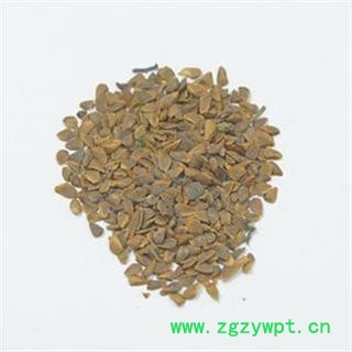 香椿子、椿树子、香椿铃、香铃子 统 产地 四川省图2