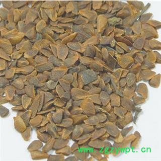 香椿子、椿树子、香椿铃、香铃子 统 产地 四川省图3