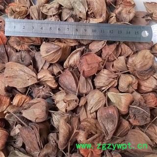 灯笼草、挂金灯、锦灯笼、酸浆、锦灯笼统货 产地 四川省图2