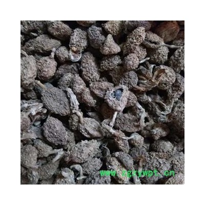 砂仁 海南砂仁统货 产地 海南省