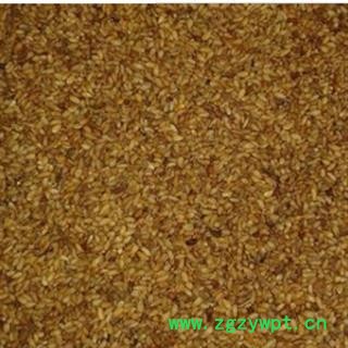 柏子仁含量合格 统  产地 山东省图3