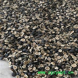 枳壳 优质 产地 江西省上饶市玉山县图2