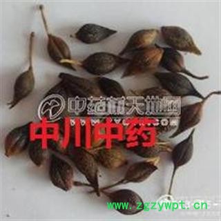 连翘   优质水煮青翘选货  产地山西图3