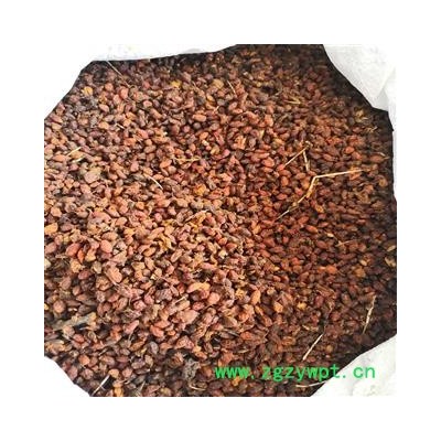 沙棘 统 产地 新疆维吾尔自治区伊犁哈萨克自治州昭苏县