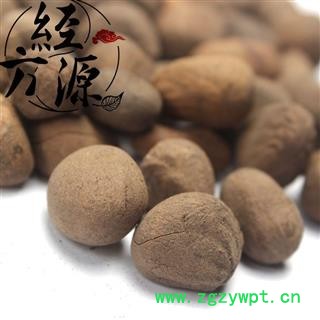 大风子T 大枫子 麻风子 驱虫大风子图3