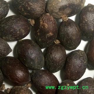 京辉药业 葵树子 正品 蒲葵子 优质 促销图2