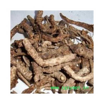 西藏胡黄连 西藏胡黄连统货 假一赔十 产地 西藏自治区