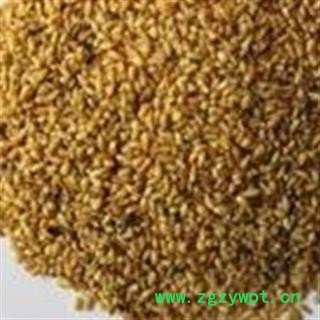 柏子仁 去壳 优质 促销图3