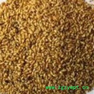 柏子仁 去壳 优质 促销图2