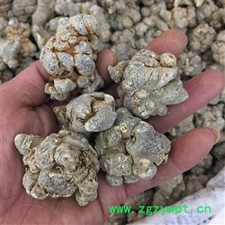 三七 水洗三七20头 标准20头 不超头 形状完好 纯干货  产地 云南省图2