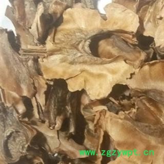 京辉药业 分心木 核桃夹 胡桃衣 无硫 烘干图2