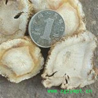 白芷 无硫白芷 精品 味道浓郁 产地 山东省图2