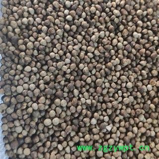 苏子 统 产地 山东省图2