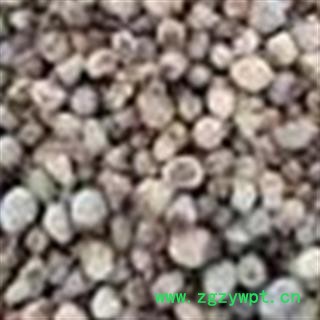 覆盆子 统 产地 四川省图2