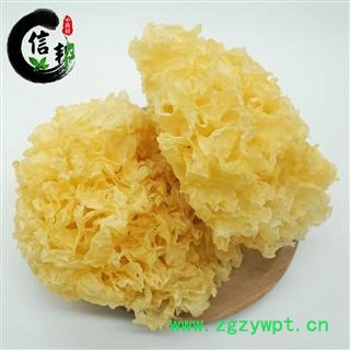 新鲜银耳无硫新货干货大花银耳雪耳白木耳大朵无硫熏专注品质，诚信信邦！图3