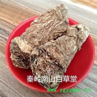 【很硬】精选秦岭优质石头当归 日晒无硫500g图2