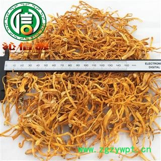 【满包邮】虫草花选货散装蛹虫草产地直供金虫草沁信源中药批发图3