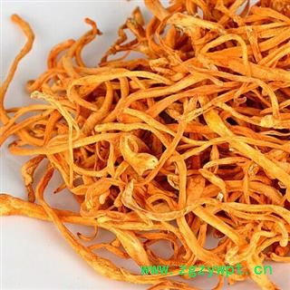 金虫草虫草花内蒙草懂得人不解释专注品质,诚信信邦!图2