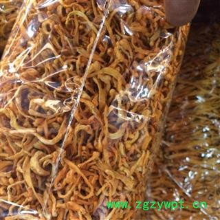 金虫草虫草花内蒙草懂得人不解释专注品质,诚信信邦!图4