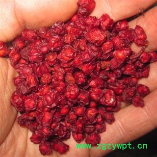 五味子 北五味子 东北野生北五味 后期油子 常用中药材图4