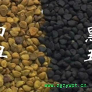 灵吉药业  黑白丑  牵牛子 二丑 喇叭花 牵牛 朝颜花  地道药材  货真价实图2