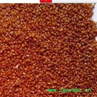 灵吉药业  葶苈子  别名：丁历、大适、大室图2