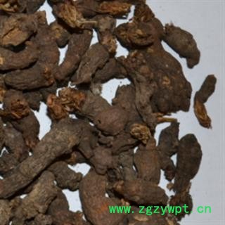 灵吉药业 天葵子 统货 产地直销图2