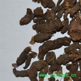 灵吉药业 天葵子 统货 产地直销图3