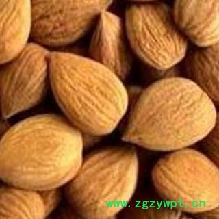 灵吉药业  苦杏仁 统货 优质  批发各种规格中药材 花茶 矿石 冷背野生中药材图2